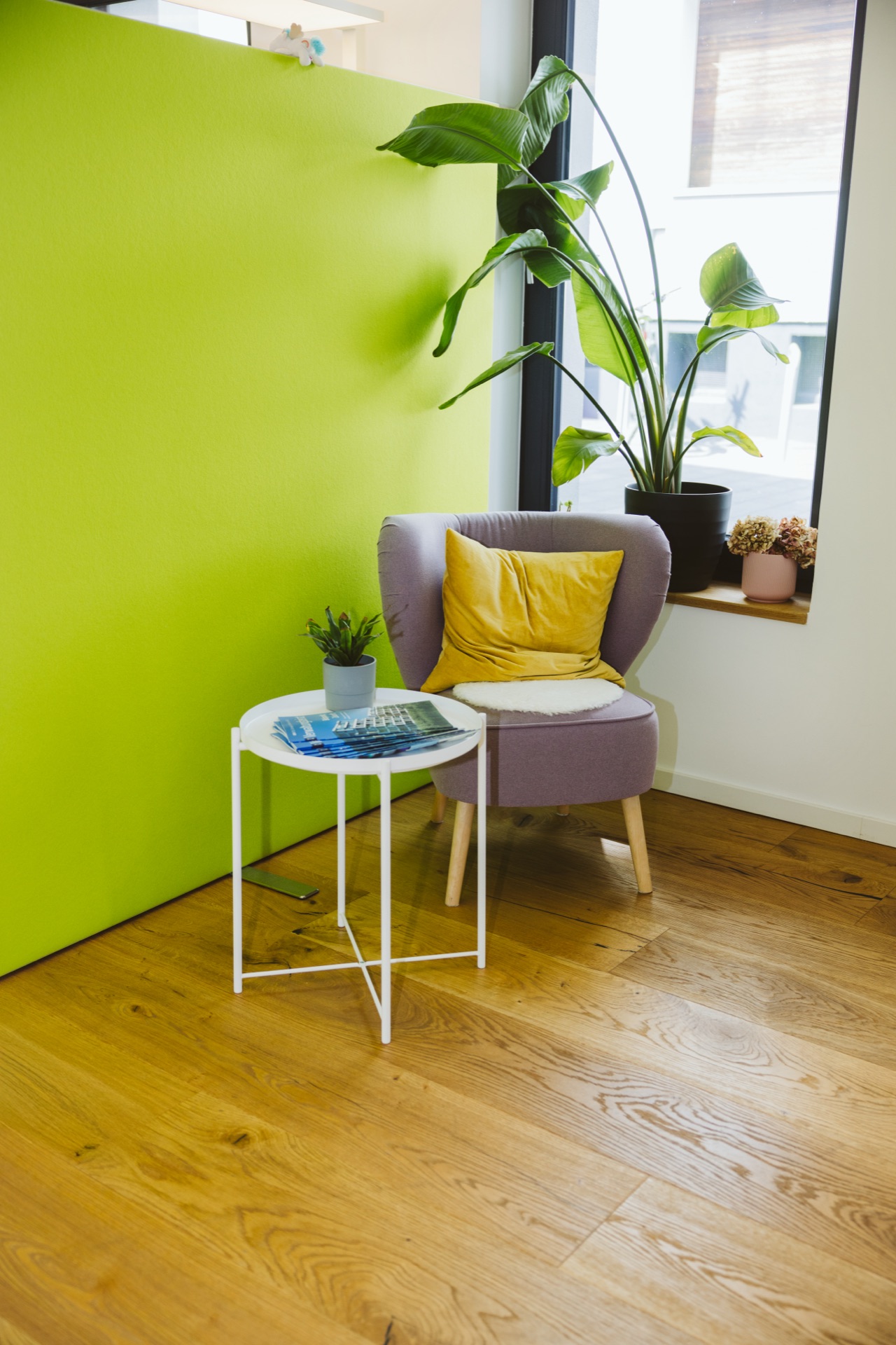 Moderne Büroräume der HvN Hausverwaltung mit grüner Akzentwand - Wohlfühlambiente für Kunden und Mitarbeiter